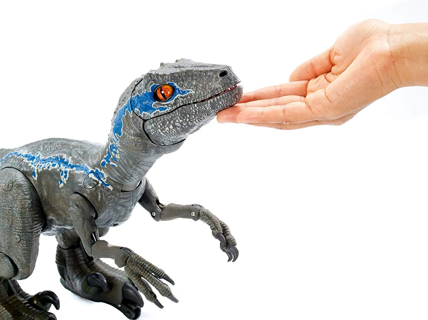 24" Inch Long HUGE Alpha Blue Training Raptor (INTERACTIVE AI) Trainable Dinosaur 1/6 Scale Figure