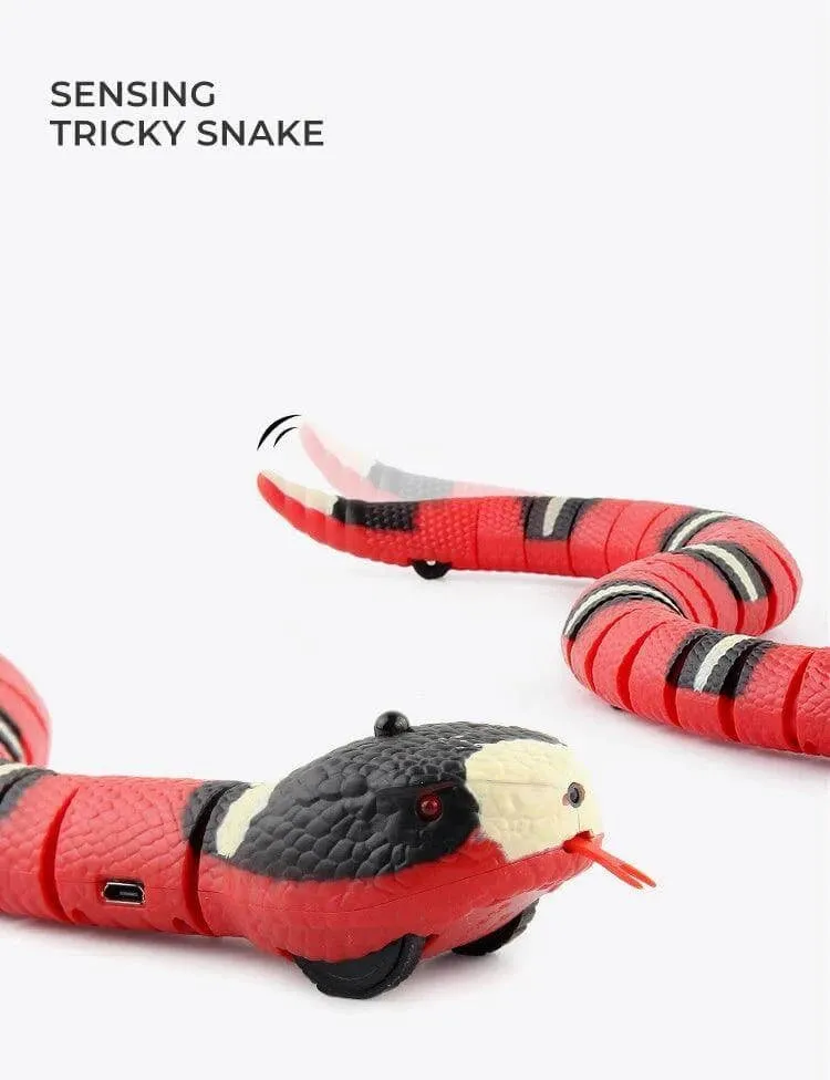 Smart Sensing Snake Toy for Pets